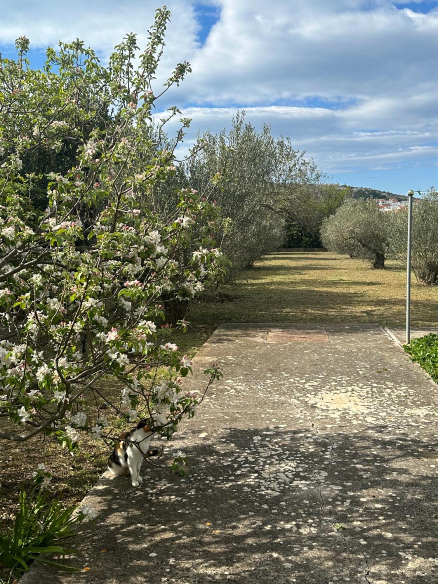 Apartments Vala Betina  Exterior photo